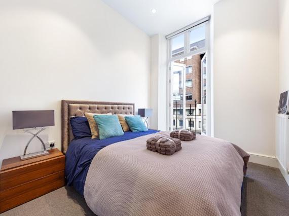 Harley Street Luxury Snug Apartment London Exterior photo