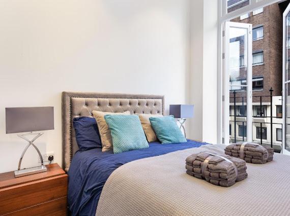 Harley Street Luxury Snug Apartment London Exterior photo