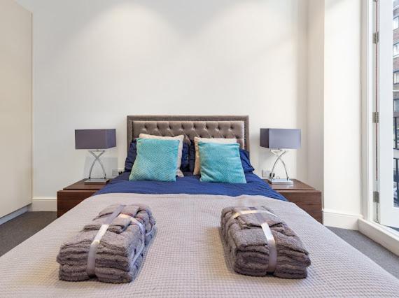 Harley Street Luxury Snug Apartment London Exterior photo